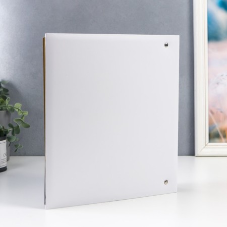 Photo album 50 magnetic sheets (100 -steer) "branch" 23x28 cm-1