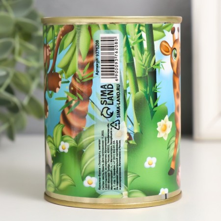 Pigger Bank Metal "Zoo"-3