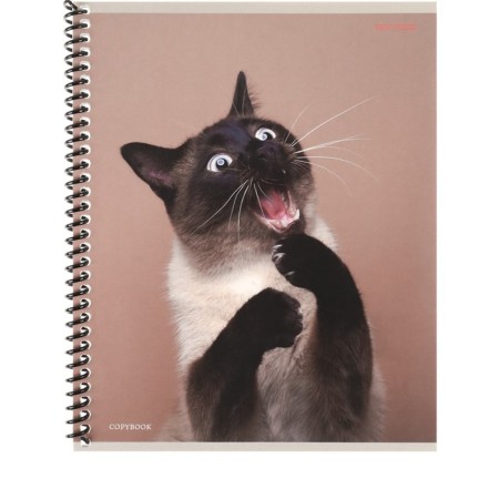 Notebook of 48 sheets in the cage on the crest "Such funny cats", cover covering cardboard, mix-4