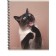Notebook of 48 sheets in the cage on the crest "Such funny cats", cover covering cardboard, mix