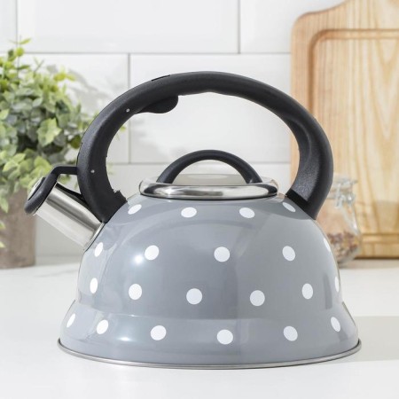 A kettle with a stainless steel whistle is a “peas” shares, 2.8 liters, the color is gray