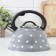 A kettle with a stainless steel whistle is a “peas” shares, 2.8 liters, the color is gray