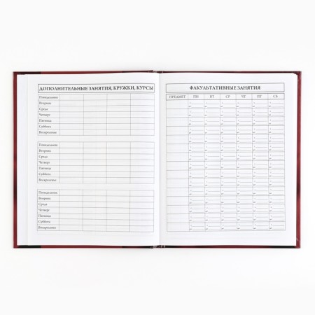 School diary 5-11 grade, in a solid cover, 48 liters. "Patriotic"-4