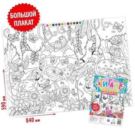 Coloring giants set "for girls", 2 pcs.-2