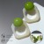 White-green