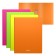 Folder on 2 rings A4, Erichkrause Matt Neon, 24 mm, 600 μm, matte, 4 types, mix