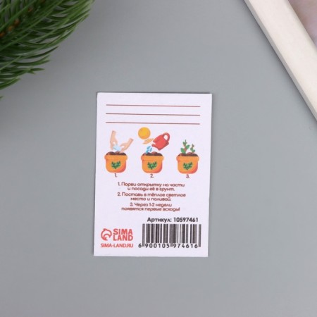 Postcard with seeds "grow itself" "to an expensive teacher" 5*7cm-2