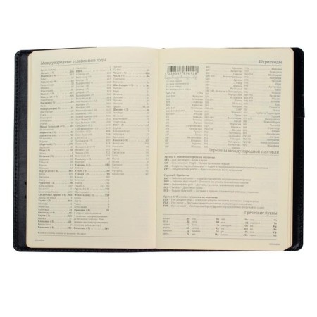 Diary Semi -dated A5, 208 PROFY sheets, reclaid leather, replaced block, gold cut, black-9