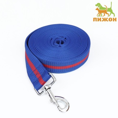Leash 5 m x 4 cm, blue-red