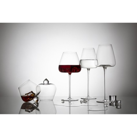 Set of glasses Liberty Jones Spiny, 525 ml, 2 pcs-1