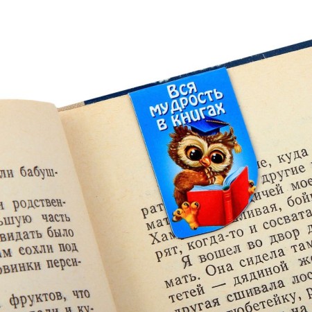 A set of magnetic bookmarks "Bookmarks for those who want more", 4 pcs.-4