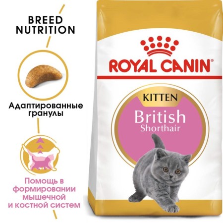 Dry food RC Kitten British Shorthair for British kittens, 2 kg-2