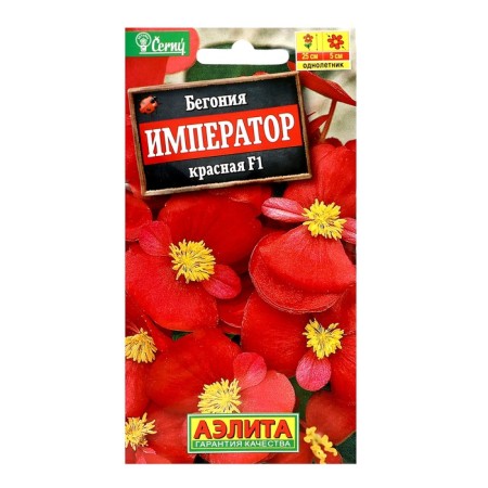 Begonia flowers eternal flowering "Emperor Red" F1, C/P, 10 pcs