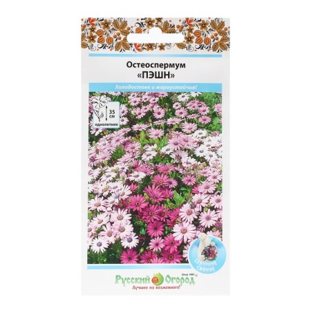 Flowers of osteosopuum "Pashn", mixture, 15 pcs-2