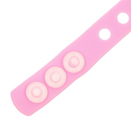 Silicone Bracelet with interchangeable jibitsami, 3 jibits included, cats aristocrats-7