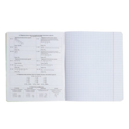Subject notebook, 48 sheets, cage, computer science, erichkrause "manga", cardboard cover of twin-lak, unit offset white 100%, information block-3