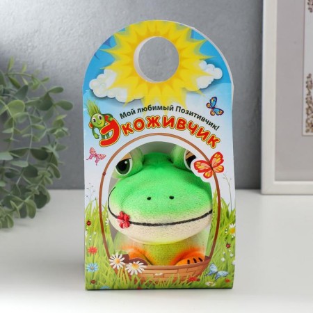 Growing gift Eco -Zhizhivchik "Frog Novik" mix-4