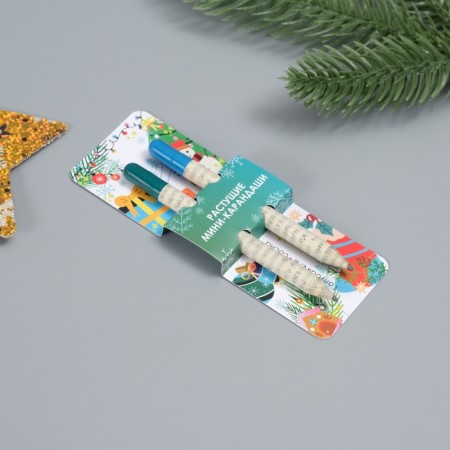 Growing gift pencils mini "blue spruce + pine" set 2 pcs.-6