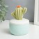Casmic Casmika "Cactus" MIX 11x8x8 cm