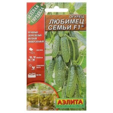 Seeds of the cucumber 