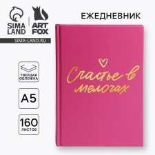 Diary in a solid cover A5, 160 L 