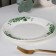 Plate porcelain dessert shade "Eucalypt", d = 20.5 cm