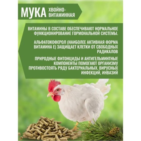 Vitamin flour, coniferous, 0.5 kg-4