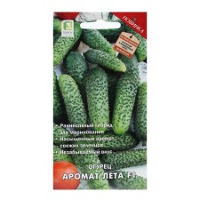 Seeds of cucumber 