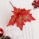 Decor "Brill" Carved Flower, 19x15 cm, Red