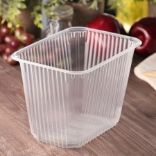 Container plastic disposable 