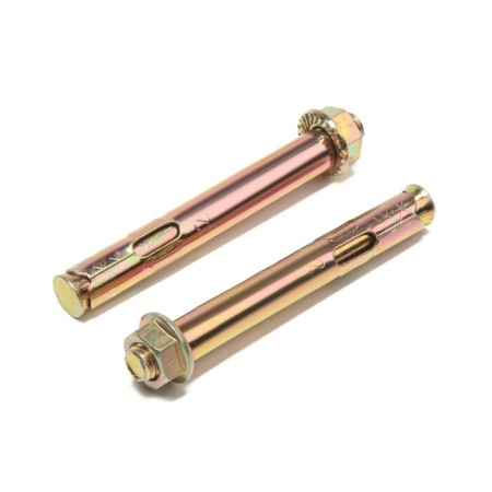 Steelrex anchor bolt, with a nut, galvanized, 12x100 mm, 2 pcs