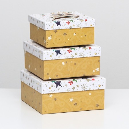 A set of boxes 3 in 1 15.5x15.5x7.5 - 18x18x8.5 - 20x20x9.5 cm.-1