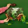 Dinosaurian figure "World of dinosaurs: parasaurolof", 24 cm