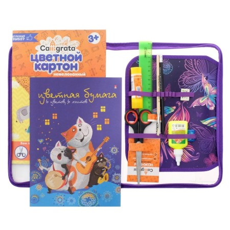 Labor folder A4, 325 x 230 x 25 mm, lightning around, folding bar, plastic, PTR-1 "butterflies", with a filling of 10 items-1