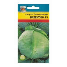 Cabbage Cabbage seeds 
