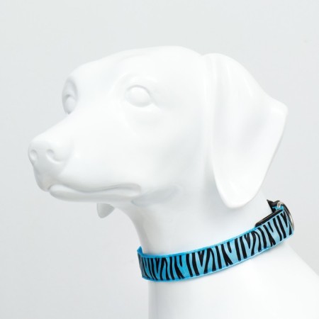 Collar with backlight tiger 3 glow modes size M, Osh 32-50 x 2.5 cm blue blue-2