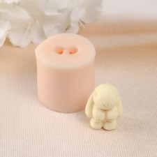 Silicone Mold 