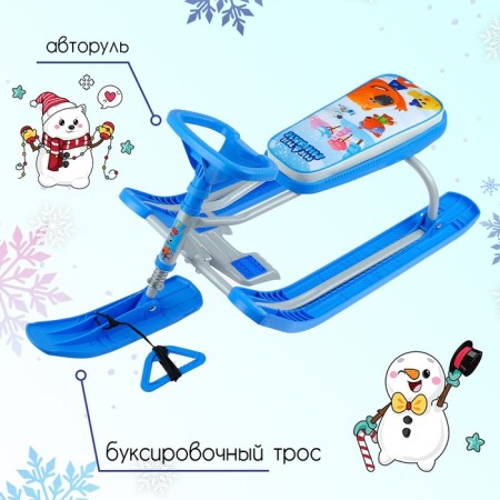 Snow-champion "Timka Sport 2 Mi-Mi-Mim", TS2/mm1, Blue/Gray Color-1