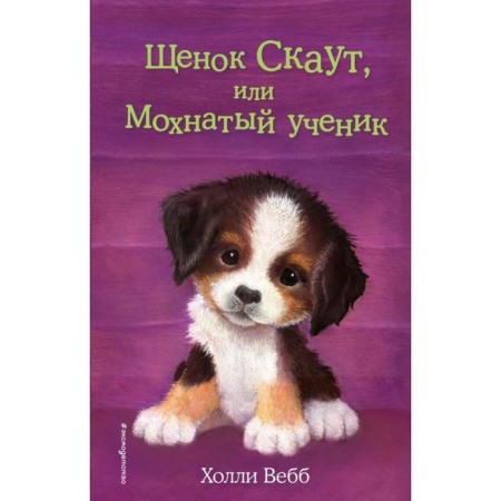 Puppy Scout, or a furry student. Issue 38. Webb H.