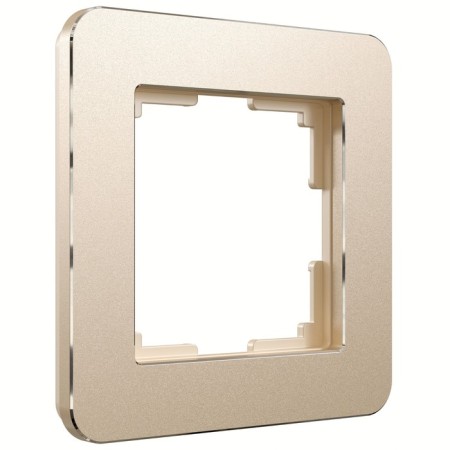 Frame W0012611, 1 Platinum socket, champagne