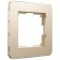 Frame W0012611, 1 Platinum socket, champagne