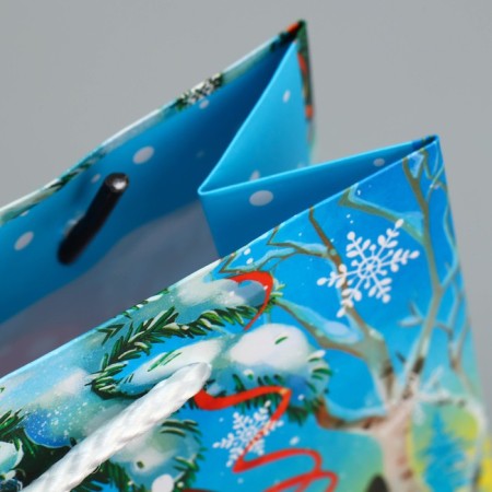 New Year's laminated gift packet “You in the New Year”, s 12 x 15 x 5.5 cm-6