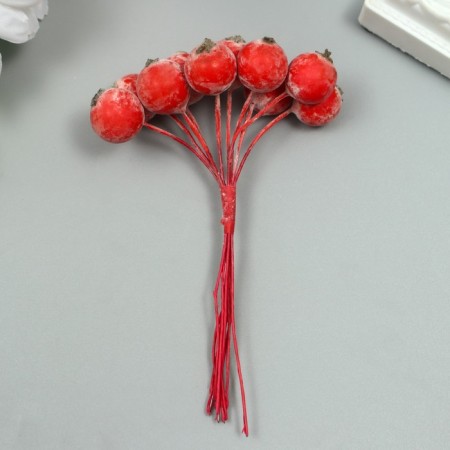 Decor for creativity "Berry of Rowan" 1 bouquet = 10 berries Red-Borded hoar 10x1.5 cm-2