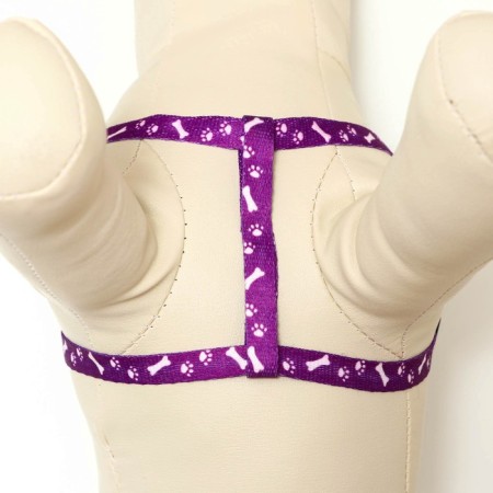 Set "Classic", leash 120 x 1 cm, fire 28-47 cm, purple-4