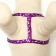 Set "Classic", leash 120 x 1 cm, fire 28-47 cm, purple