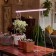 Lamp for plants LED linear, 872 mm Uniel, 24 W, BIO LED, IP40, white color
