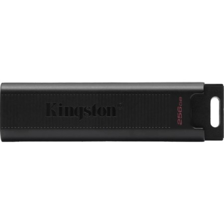 USB flash drive_256 GB Kingston dt Max Type-a USB 3.2 Gen2, R1000MB/S/W900MB/S, DTMAXA/108049-3