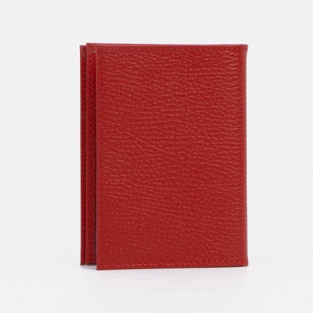 Cover for autoDocations and passports, red color-1