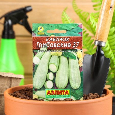 Semen zucchini white -fruited "Gribovsky 37" "Leader", 8 pcs.