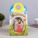 Growing gift Eco -Zhizhivchik "Hedgehog" Mix